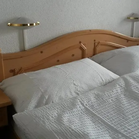 Hotel Danis